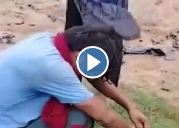 ..अन् भररस्त्यात महिलेने तरुणाला धो-धो धुतले ; पहा ‘हा’ व्हिडिओ