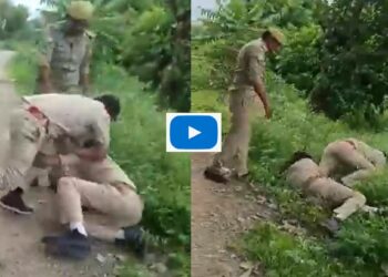 पैसे वाटपावरुन पोलीस आणि होमगार्डमध्ये हाणामारी; व्हिडिओ सोशल मीडियावर व्हायरल