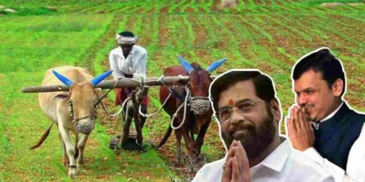 शिंदे-फडणवीस सरकारचा मोठा निर्णय ; राज्यातील ‘या’ शेतकऱ्यांना ७५५ कोटींची मदत जाहीर