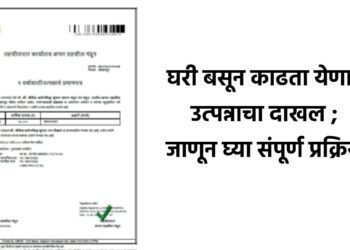 घरी बसून काढता येणार उत्पन्नाचा दाखल ; जाणून घ्या संपूर्ण प्रक्रिया