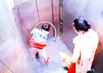 लिफ्टमध्ये कुत्र्याने घेतला चिमुकल्याचा चावा, मालकीण फक्त राहिली बघत ;  Video पाहून लोकांचा संताप