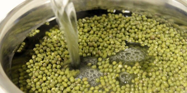 या लोकांनी मूग डाळ खाऊ नये, अन्यथा आरोग्याला पोहोचेल हानी