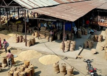 जिल्ह्यातील ‘या’१२ कृषी उत्पन्न बाजार समित्यांच्या निवडणुका जाहीर, जाणून घ्या संपूर्ण तारखा