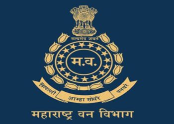 वन कर्मचाऱ्यांना पोलिस कर्मचाऱ्यांप्रमाणे लाभ मिळणार, जाणून घ्या सविस्तर