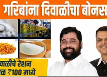 रेशन धान्य दुकानावर दिवाळी सणानिमित्त चार वस्तू फक्त १०० रुपयात ; यांना मिळतोय लाभ, जाणून घ्या…