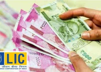 LIC ने केली नवीन पॉलिसी लाँच ; फायदे वाचून लगेच गुंतवणूक कराल, जाणून घ्या सविस्तर