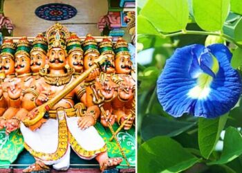 आज दसऱ्याला ‘या’ 2 रोपांची करा पूजा! जीवनात धन,अन्न प्राप्तीसह विजय प्राप्त होईल..