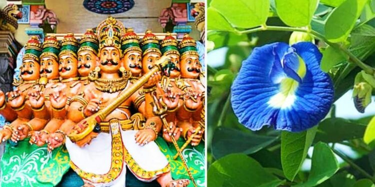 आज दसऱ्याला ‘या’ 2 रोपांची करा पूजा! जीवनात धन,अन्न प्राप्तीसह विजय प्राप्त होईल..