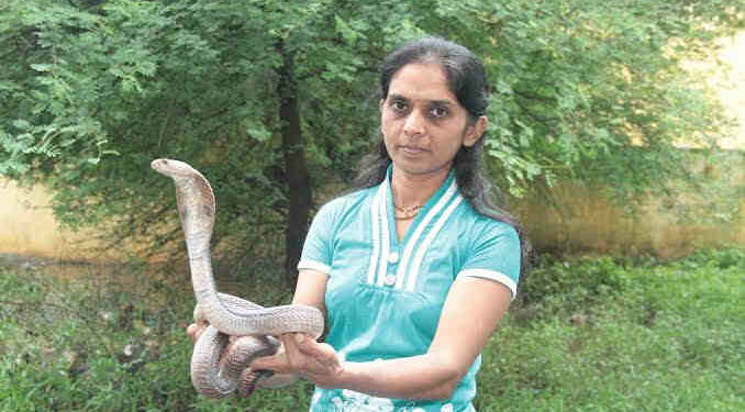 ‘नारीशक्ती पुरस्कार’ जाहीर ; महाराष्ट्रातील तीन महिलांचा समावेश