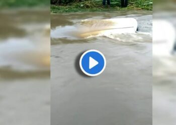 पुराच्या पाण्यात कार अडकली, मुलगी बाबांसह कारमध्ये अन्.. पहा थरारक घटनेचा VIDEO