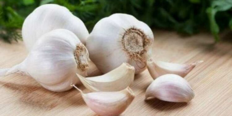 या लोकांनी विसरूनही लसूण खाऊ नये, काय परिणाम होऊ शकतात? वाचा