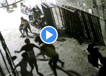 धारदार चाकूने हल्ला करत तरुणाचा खून, घटनेचा अंगावर काटा आणणारा Video समोर