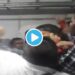 धावत्या एक्सप्रेसमध्ये जागेवरून प्रवाशांमध्ये तुफान हाणामारी; VIDEO व्हायरल