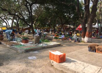 रावेर येथील आठवडे बाजार  गुरुवार, शुक्रवार व शनिवारी हे तीन दिवस सोडून सोईच्या दिवशी भरवण्यात यावा – जिल्हाधिकारी