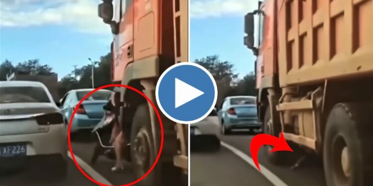 काय नशीबवान मुलगी आहे! स्कूटी ट्रकखाली आली पण ती.. पहा ‘हा’ VIDEO