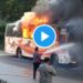 बापरे ; भररस्त्यात शिवशाही बस जळून झाली खाक, पहा थरारक Video