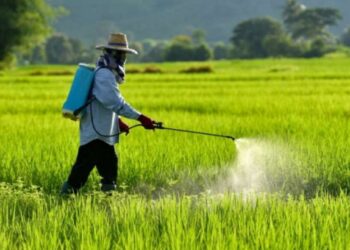 शेतकऱ्यांना आता कीटकनाशके घेण्यासाठी दुकानावर जाण्याची गरज नाही, असे घरी बसून मिळेल??