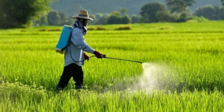 शेतकऱ्यांना आता कीटकनाशके घेण्यासाठी दुकानावर जाण्याची गरज नाही, असे घरी बसून मिळेल??