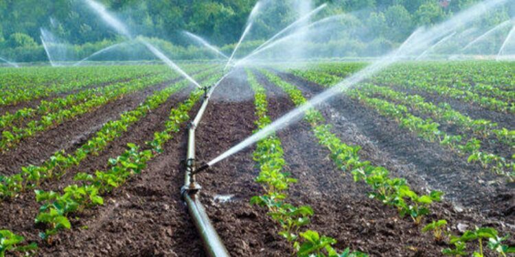 शेतकऱ्यांनो.. रब्बी हंगामासाठी पाणी हवंय? ‘या’ तारखेपर्यंत करा अर्ज