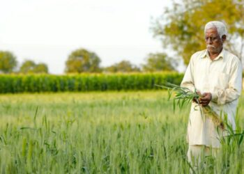 सरकारकडून आर्थिक मदत हवी असल्यास, शेतकऱ्यांना येथे नोंदणी करावी लागेल, पैसे थेट खात्यात येतील