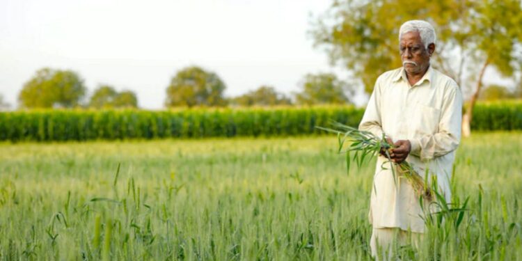 सरकारकडून आर्थिक मदत हवी असल्यास, शेतकऱ्यांना येथे नोंदणी करावी लागेल, पैसे थेट खात्यात येतील