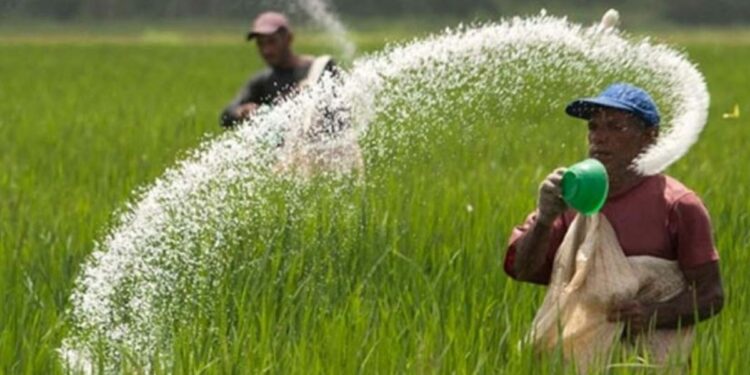 मोठी बातमी ! शेतकऱ्यांना परवडणाऱ्या दरात खत मिळणार, फॉस्फरस-पोटॅश खतावर अनुदान मंजूर