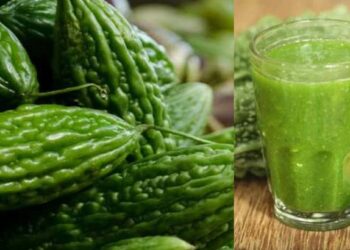 हिवाळ्यात कारल्याची भाजी खाणे सुरु करा, ‘या’ आजारांना सामोरे जावे लागणार नाही