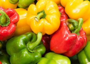 पिवळ्या शिमला मिरचीचे हे फायदे वाचून चकित व्हाल.. जाणून घ्या काय आहेत??