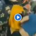 Video : प्रियकरावरून भांडण, 5 मुलींनी तरुणीला दिला जबरदस्त चोप… पाहा व्हिडीओ