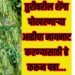 तुरीवरील शेंगा पोखरणाऱ्या अळीचा नायनाट करण्यासाठी हे करून पहा, निश्चित फायदा होईल…