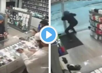 चोरटा स्मार्टफोन घेऊन पळत होता, दरवाज्यापर्यंतही पोहोचला पण.. पुढे काय झाले पाहा VIDEOमध्ये