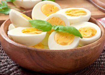 Health Tips : हिवाळ्यात उकडलेले अंडे खाण्याचे हे आहेत जबरदस्त फायदे