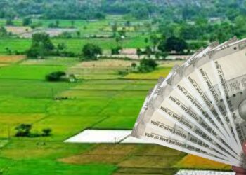 सरकारच्या ‘या’ योजनेंतर्गत मिळेल शेती विकत घेण्यासाठी अनुदान, अर्ज कुठे आणि कसा कराल?