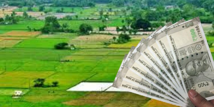 सरकारच्या ‘या’ योजनेंतर्गत मिळेल शेती विकत घेण्यासाठी अनुदान, अर्ज कुठे आणि कसा कराल?
