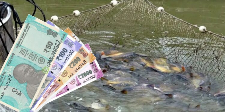 तरुणांनो.. शेतीमध्ये नशीब आजमावताय? मग ‘या’ 5 संधी करतील तुमचे आर्थिक भविष्य सुरक्षित