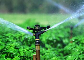 मुक्ताईनगर तालुक्यातील उपसा सिंचन योजनेस मान्यता ; सरकारचा मोठा निर्णय