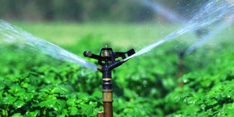 मुक्ताईनगर तालुक्यातील उपसा सिंचन योजनेस मान्यता ; सरकारचा मोठा निर्णय