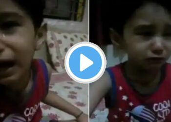 आहो काय पण..! अवघ्या २ वर्षांचा चिमुकला करतोय दारूसाठी हट्ट, Video झाला व्हायरल