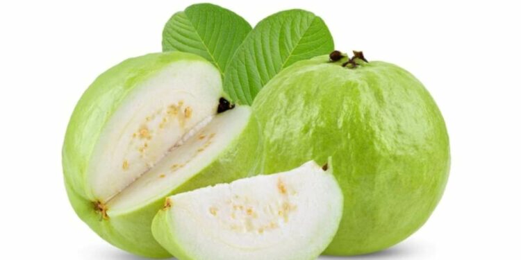 या आजारांमध्ये पेरू चुकूनही खाऊ नका, नाहीतर..