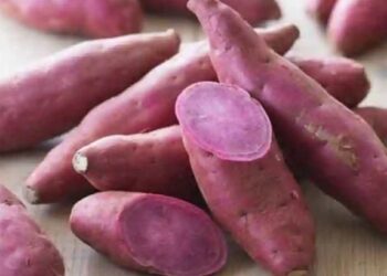 हिवाळ्यात रताळे खा..आरोग्यासाठी आहेत खूप फायदेशीर ; जाणून घ्या फायदे