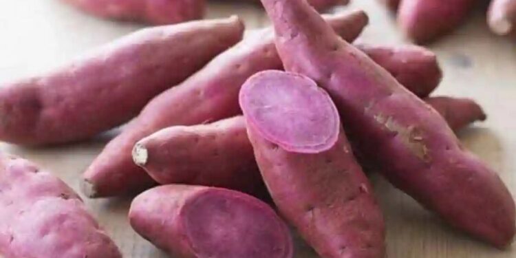 हिवाळ्यात रताळे खा..आरोग्यासाठी आहेत खूप फायदेशीर ; जाणून घ्या फायदे