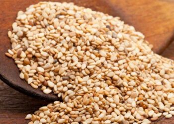 आरोग्य मजबूत करण्यासाठी पांढऱ्या तीळाचे सेवन करा