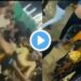 एका बॉयफ्रेंडसाठी 5 मुली एकमेकांशी भिडल्या..VIDEO झाला व्हायरल