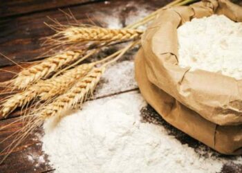 गहू आणि पिठाचे भाव घसरणार ! सर्वसामान्यांना दिलासा देण्यासाठी सरकार उचलणार हे मोठे पाऊल