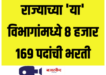 राज्याच्या ‘या’ विभागांमध्ये ८ हजार १६९ पदांची भरती ; संपूर्ण डिटेल्स वाचा