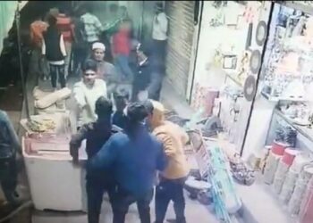 युवकांमध्ये फ्री स्टाईल हाणामारी, कोण कुणाला मारतंय हेचं कळेना, पाहा VIDEO