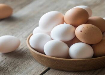 हिवाळ्यात अंडी खाल्ल्याने शरीर उबदार राहते, तुम्हाला मिळतात ‘हे’ आश्चर्यकारक फायदे