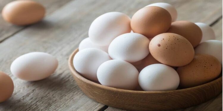 हिवाळ्यात अंडी खाल्ल्याने शरीर उबदार राहते, तुम्हाला मिळतात ‘हे’ आश्चर्यकारक फायदे