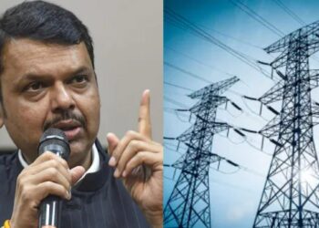 राज्यातील वीज कर्मचारी संपावर; फडणवीसांनी ऊर्जा विभागाला दिले ‘हे’ महत्वाचे आदेश