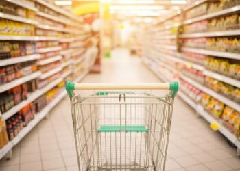  सर्वसामान्यांना महागाईचा आणखी एक झटका : आता ‘ही’ दैनंदिन वस्तू महागणार!